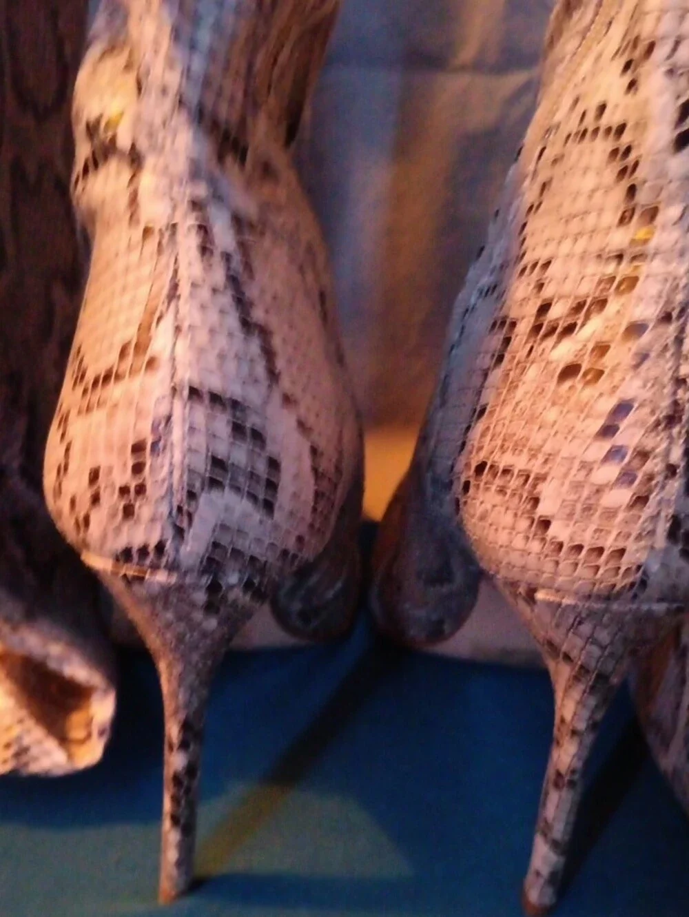 Snake-Print Thigh-High Stiletto Boots - Beige/Black